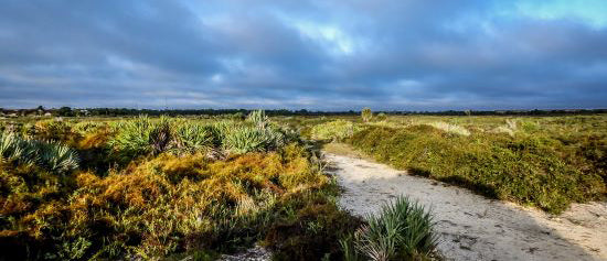 Exploring Juno Beach: The Best Cycling Trails of 2025