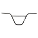 HBAR AN DIME BARS 2 PC RAW