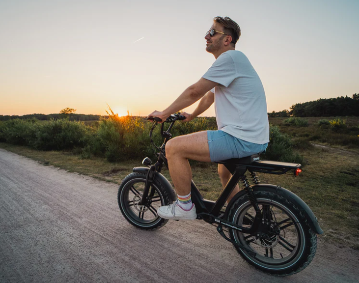 Himiway Long Range Moped-Style Electric Bike Escape Pro