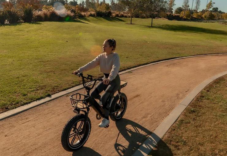 Himiway Long Range Moped-Style Electric Bike Escape Pro