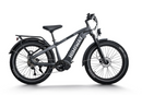 Himiway D5 Pro / Premium All-terrain Electric Fat Bike