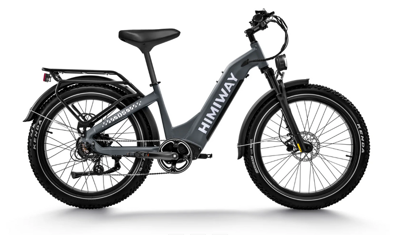 Himiway D5 ST (Zebra ST) | Premium All-terrain Electric Fat Bike