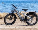 Himiway D5 Pro / Premium All-terrain Electric Fat Bike