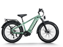 Himiway D5 Pro / Premium All-terrain Electric Fat Bike
