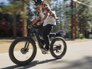 Freeskye Warrior Pro M-530 Dual-motor all terrain ebike