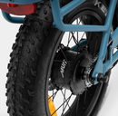 Murf Higgs Step Thru