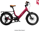 Urtopia JOY 20 Inch Step Thru E-bike