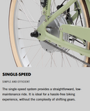 Murf Gigi, The Classic Cruiser, Crafted For Style & Coastal Rides