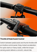 Urtopia Carbon Classic E-Bike