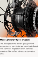 Urtopia Carbon Classic E-Bike