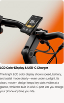 Urtopia Carbon Classic E-Bike