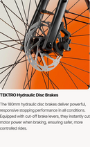 Urtopia Carbon Classic E-Bike