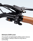 ECLIO Lumeo 2 Carbon Fiber Electric Bike
