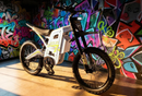 ECLIO Terrn 2 Pro Off-Road Electric Bike