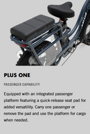 Higgs Plus, Built for you plus one